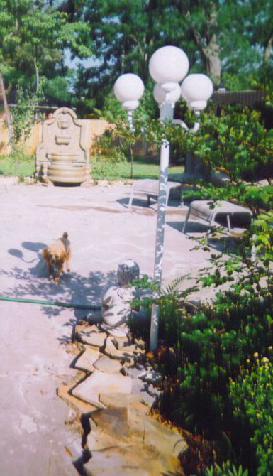 Fountain and Garden photos
