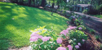 Fountain and Garden photos