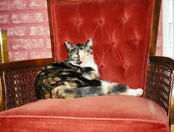 Liberty Belle
