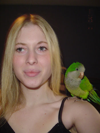 Tara and Tequila (Quaker Parrot)