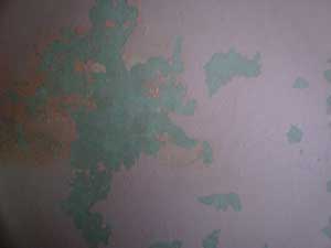 Repairing a Wall With Peeling Paint