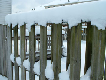 Snowy Fence