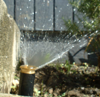 Installing a Sprinkler System