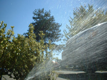 Installing a Sprinkler System