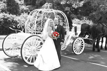 Unique Wedding Pictures