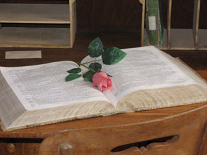 A Book and a Rose