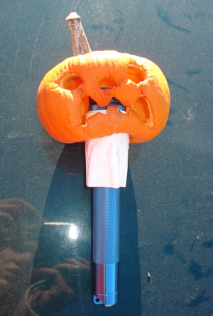 Mini Pumpkin Flashlight
