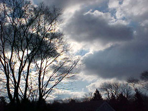 Early Morning Light
