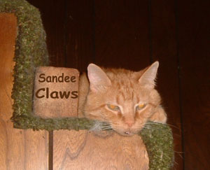 Sandee Claws