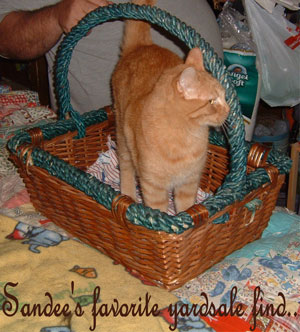 Sandee Claws (Tiger Cat)