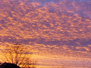 Colorful Sunset