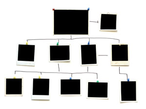 Family Gatherings, Family Tree