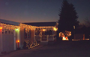 Dorothy's House Decorations for Christmas