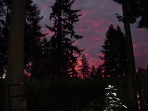 Sunrise in the Pacific Northwest
