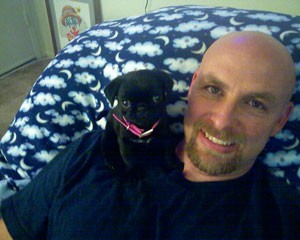 my yorkie puppy wont eat my new puppy won t eat thriftyfun my yorkie puppy wont eat my new puppy won t eat thriftyfun