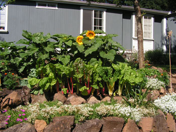 Dealing with a Garden on a Steep Slope