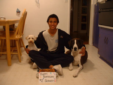 Scruffy's Birthday (Terrier Mix)