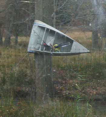 Canoe Wrapped Around Tree - April 2005 NJ