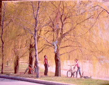 picture taking with a digital camera