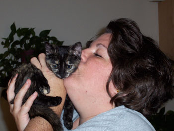 Precious Destiny (Tortoise Shell)