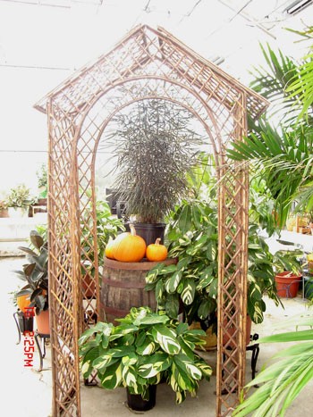 Stick Arbor