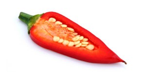 Chili Seeds