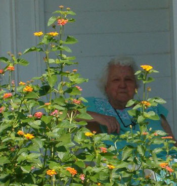 Lantanas - Beware!