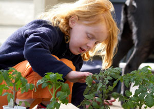 What Would You Plant in Your Victory Garden?