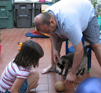 It Takes The Whole Family to Crack Open A Coconut