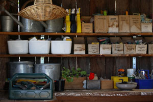 Saving Money on Garden Supplies and Equipment 