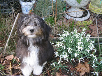 Muffin At Six Months