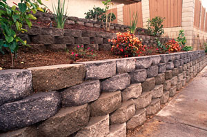 Strategies for Gardening On Slopes