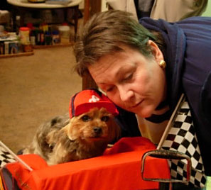 Webster (Yorkie)