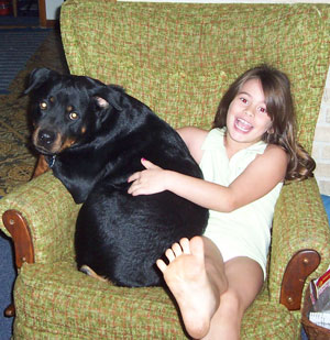 Elsa (Rottweiller)