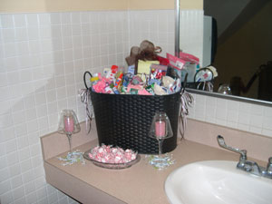 Ladies Toiletry Basket For Entertaining
