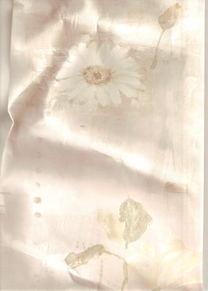 discount wallpaper borders discount wallpaper border. discount wallpaper borders