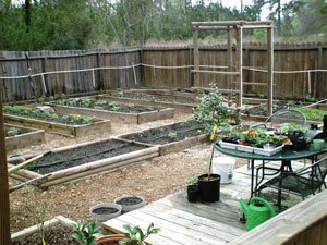 My Raised Garden