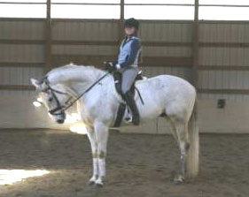 Roper's Impression (Quarter Horse)