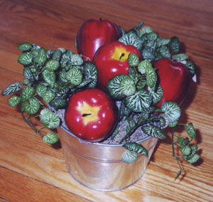 Tin Pail of Apples Craft