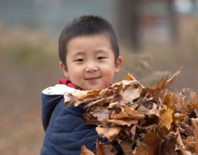 Get a friend to help you collect the leaves.