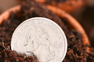 Garden Savings