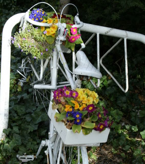 Unusual Objects in the Garden