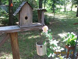 Birdhouse and Tea Rose
