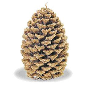 Royal Products Recalls Pine Cone Candles (Fire Hazard)