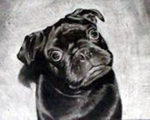In Memory of Diesel