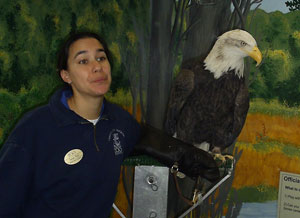 eagle_handler300x218.jpg