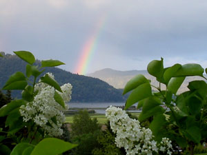 Rainbow Through the Lilacs