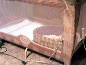 Playpen for Puppies