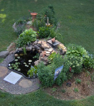 Pond and Birdbath at Site of Cut Down Tree