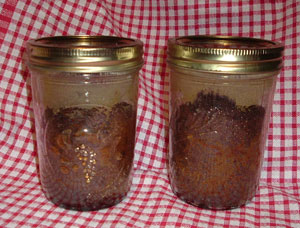 Baked Goods in a Jar